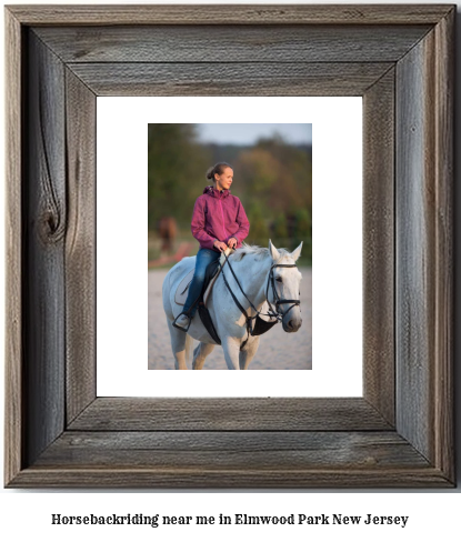 horseback riding near me in Elmwood Park, New Jersey